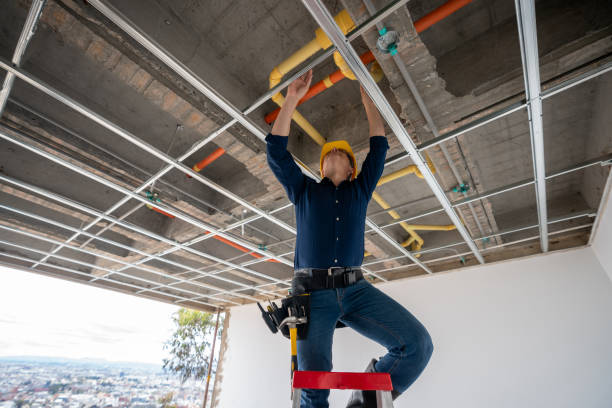 Best Plumbing Inspection Services  in Two Harbors, MN